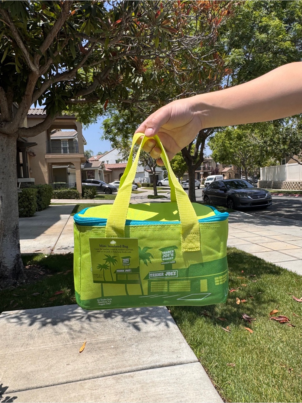 Trader Joe's Lime Green Mini Insulated Bag